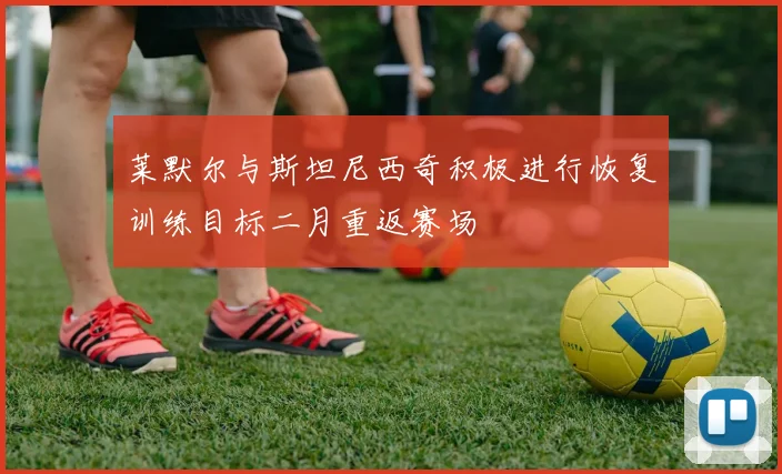莱默尔与斯坦尼西奇积极进行恢复训练目标二月重返赛场