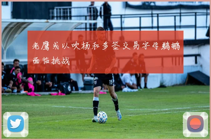 老鹰或以吹杨和多签交易字母鹈鹕面临挑战